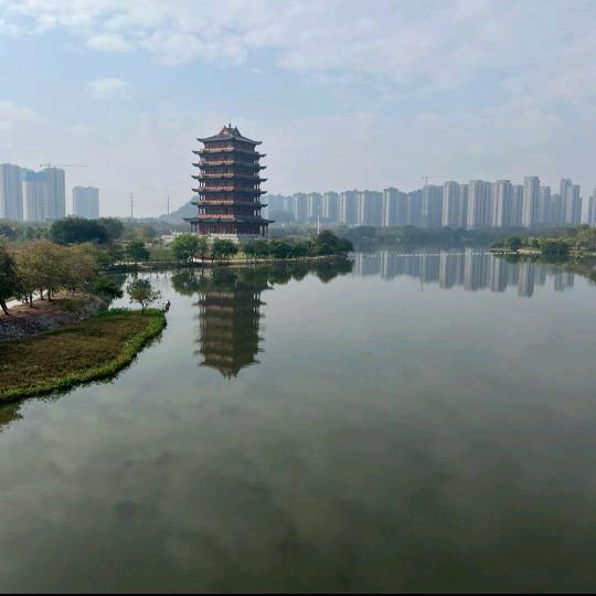 婷珍梅