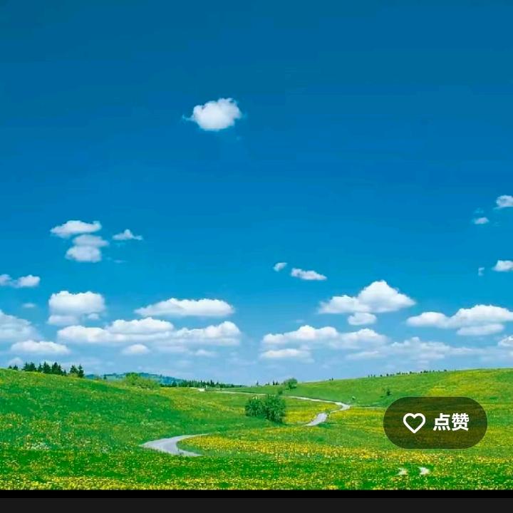 单身一个人很孤单