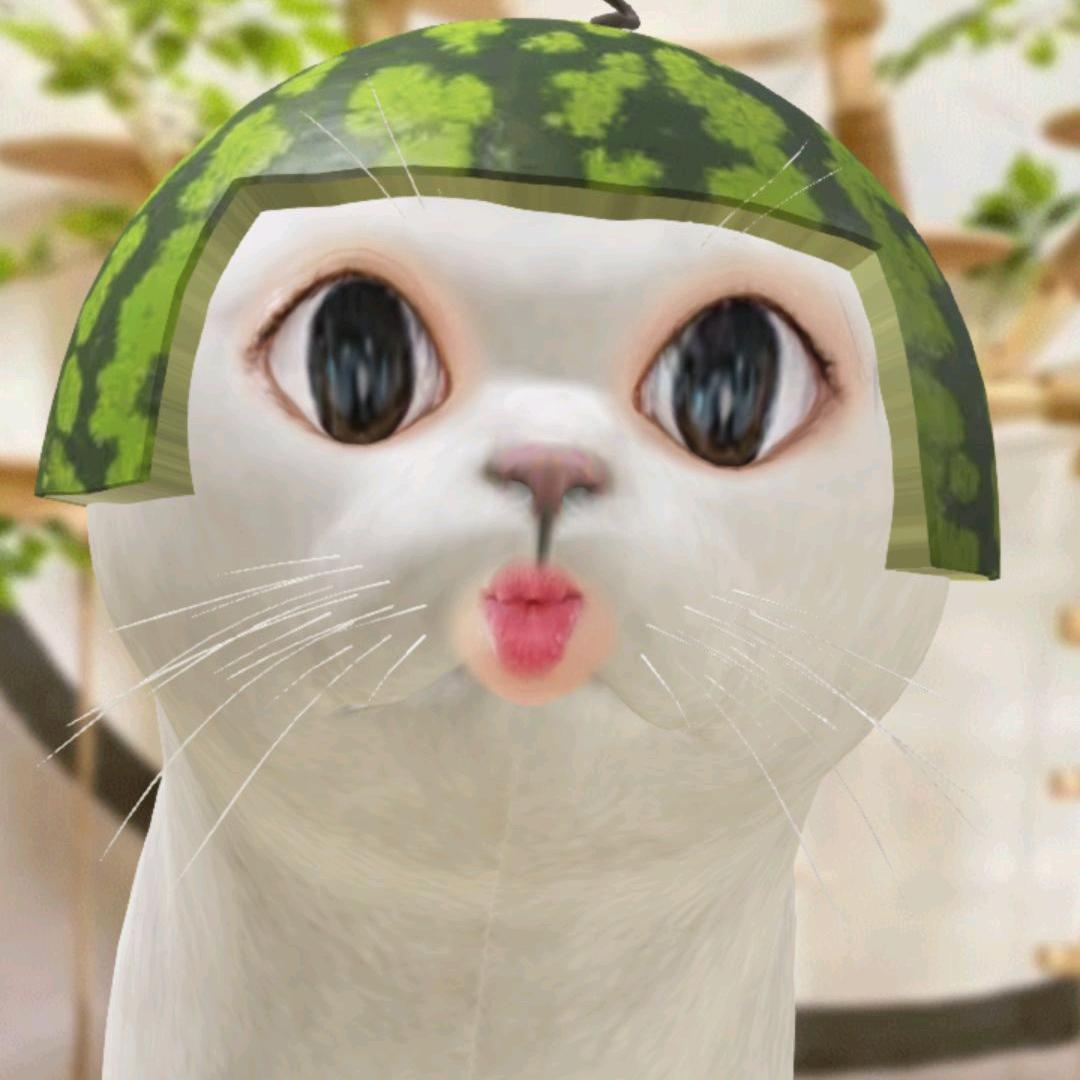 古早猫