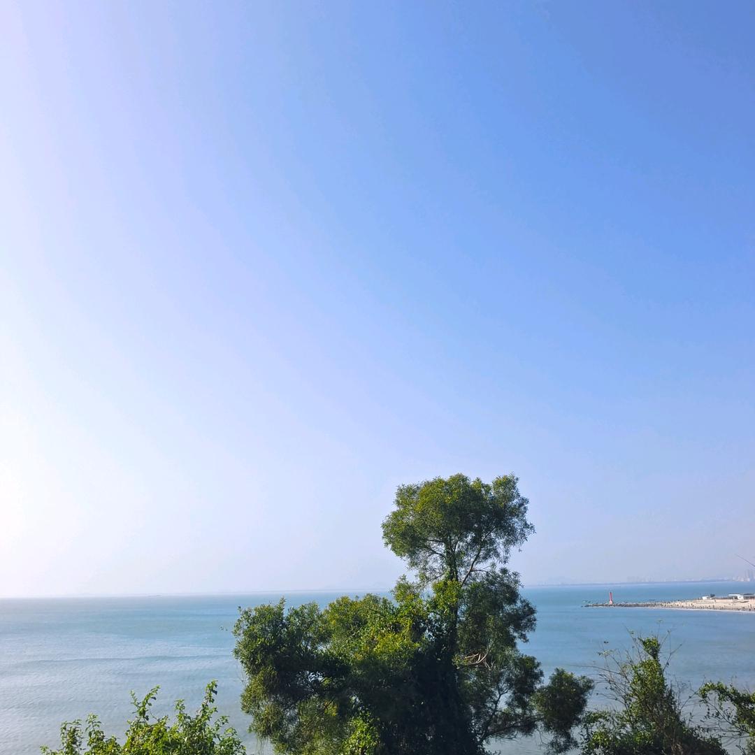 你好坏大叔