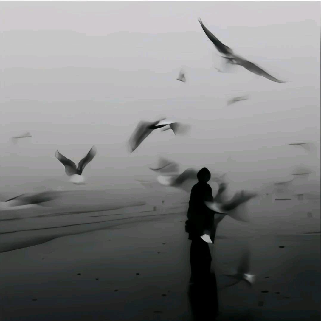 钦.