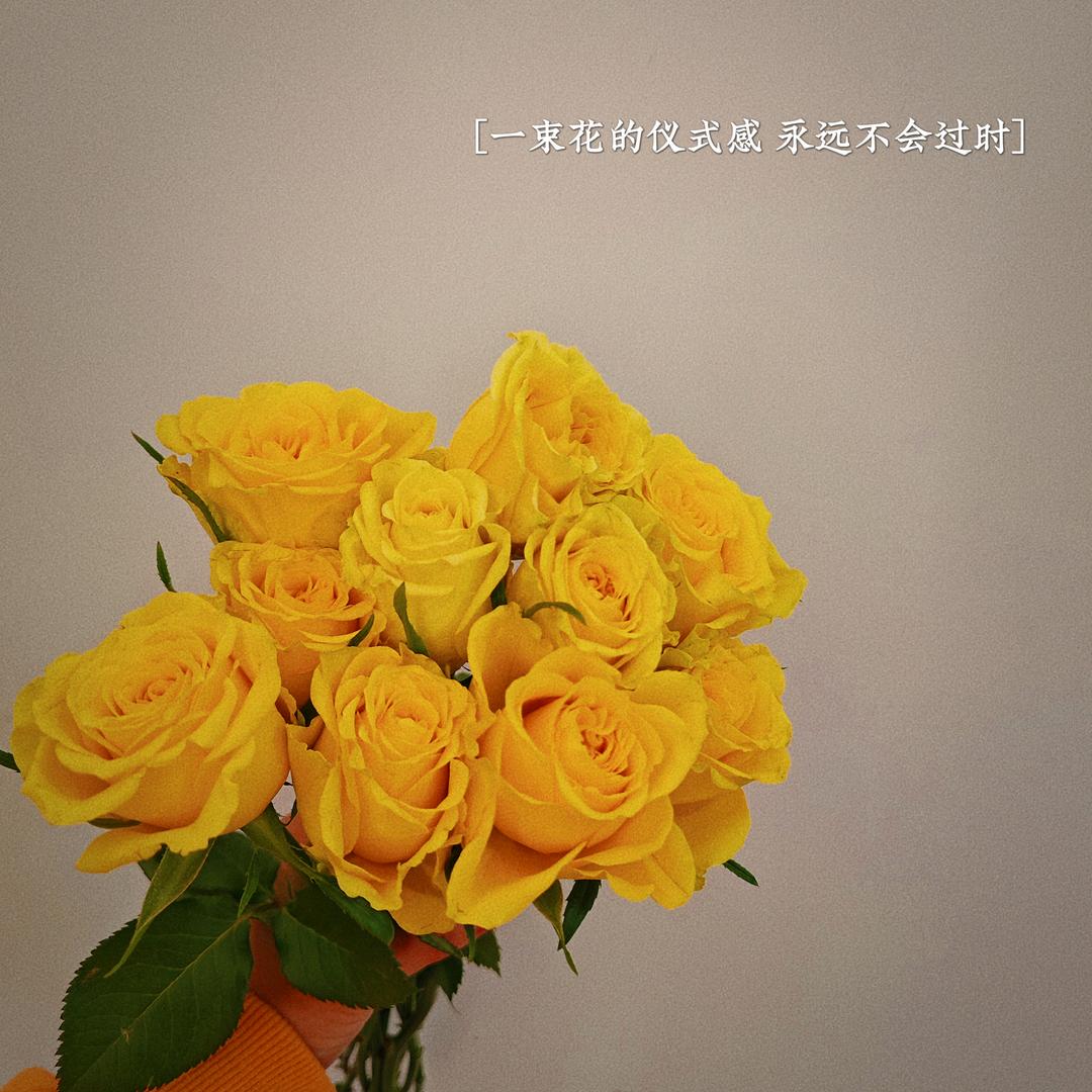 空🈳心菜