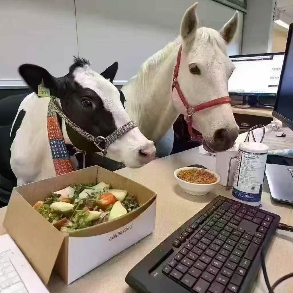 爱撸铁的菠萝🍍