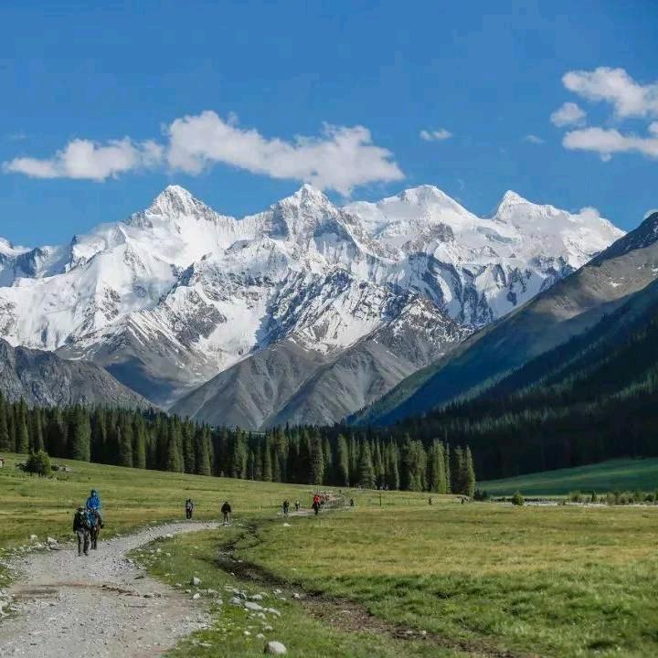 火爆招商，诚信志远