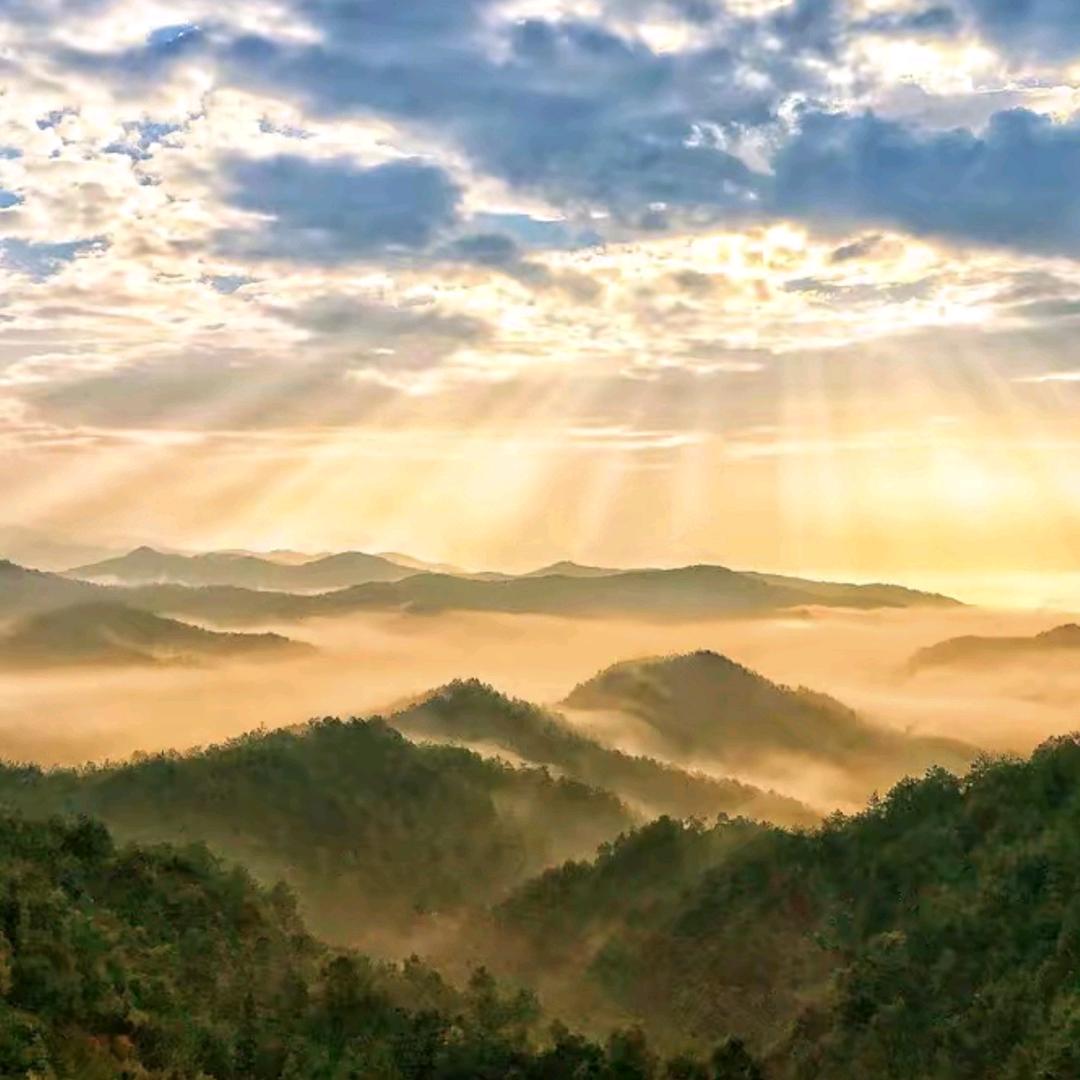 七山拾光