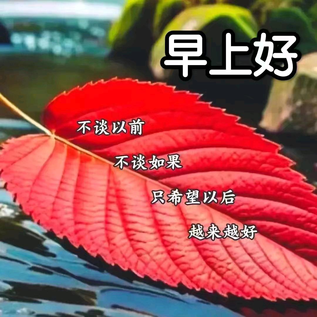 《牧蜂女🐝拒私聊》只点赞不平论