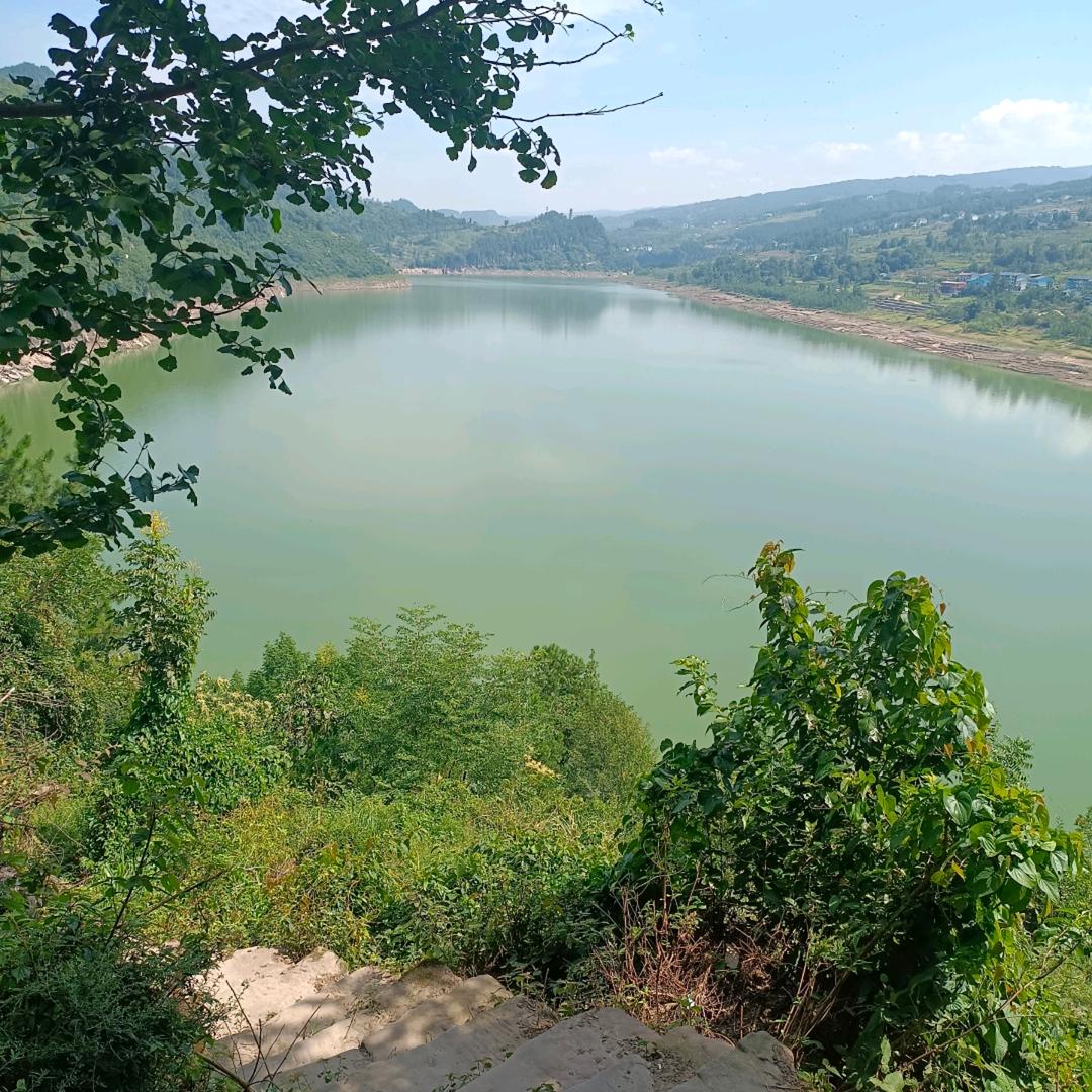 天天有个好心情