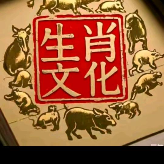 琳倩讲龙