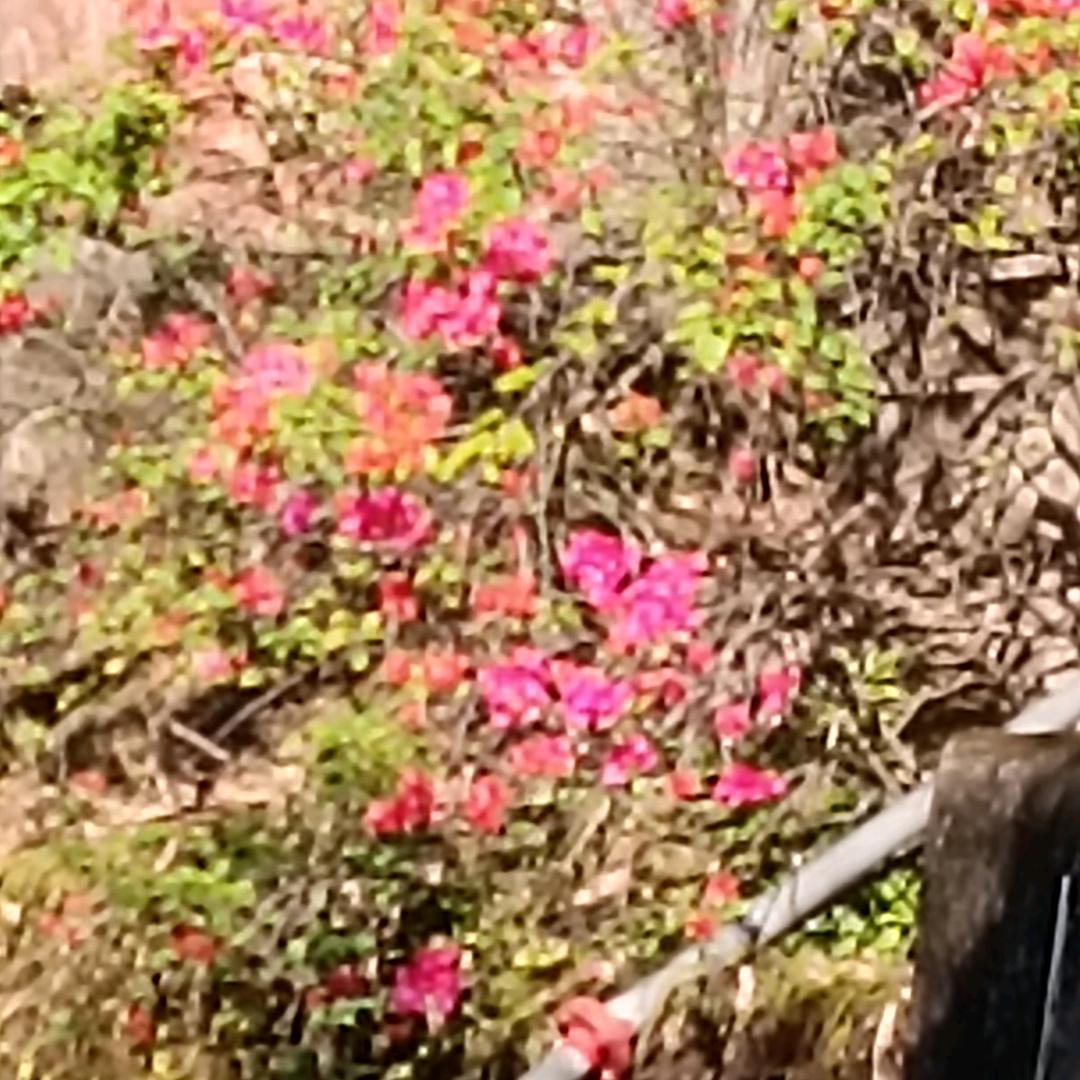 过好每一天🔥🔥🍓🍓🍎🍎