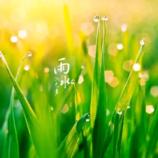 幸运星语¹⁹¹⁵