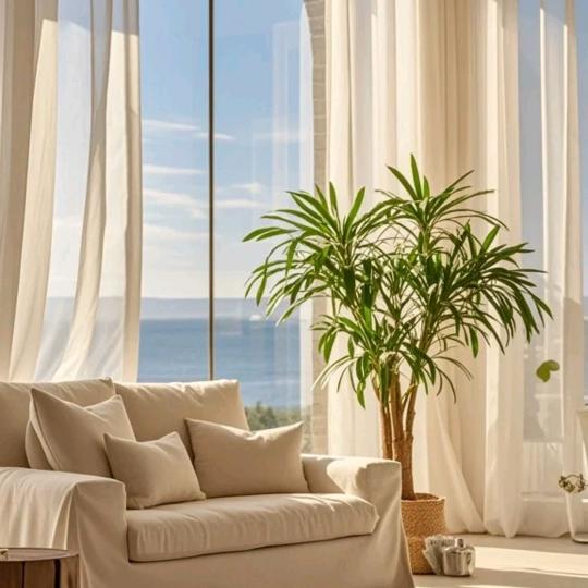 用户 5468953469455