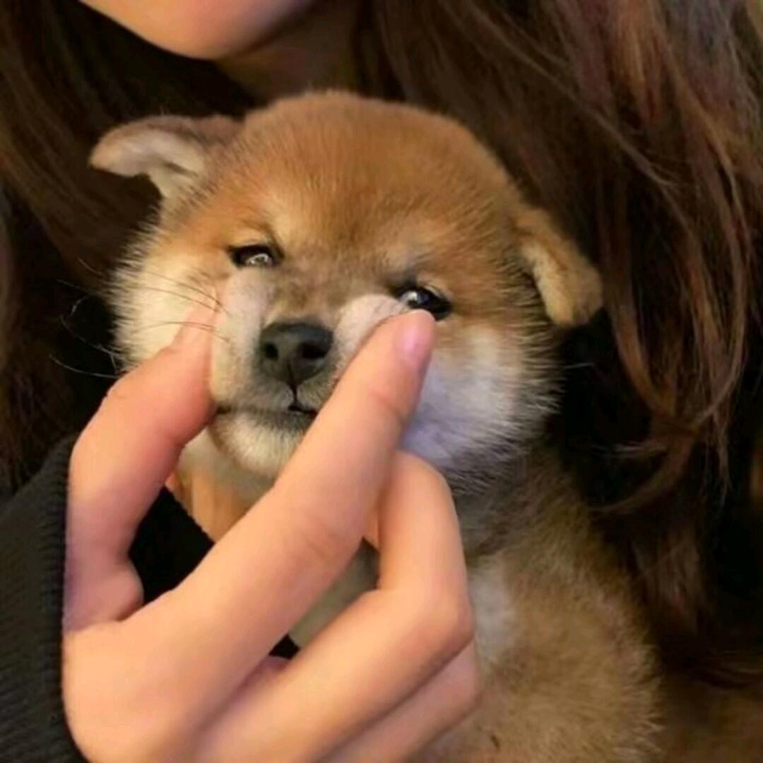 P.
