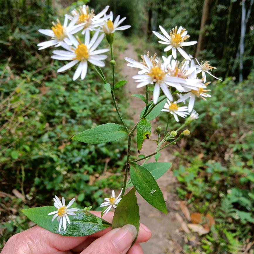 ℋღ᭄潘🍒᭄💞࿐