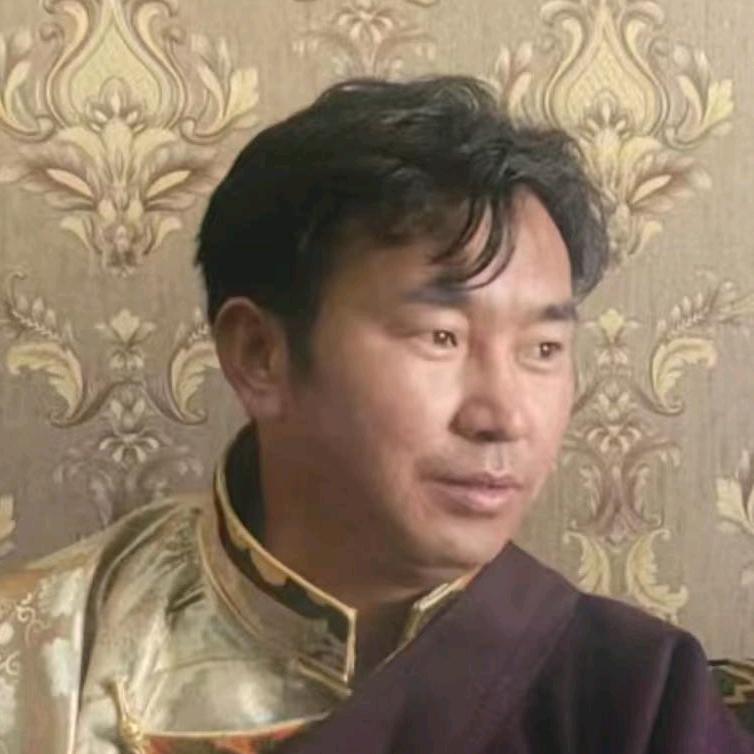 喜尔隆达全脂奶粉批发