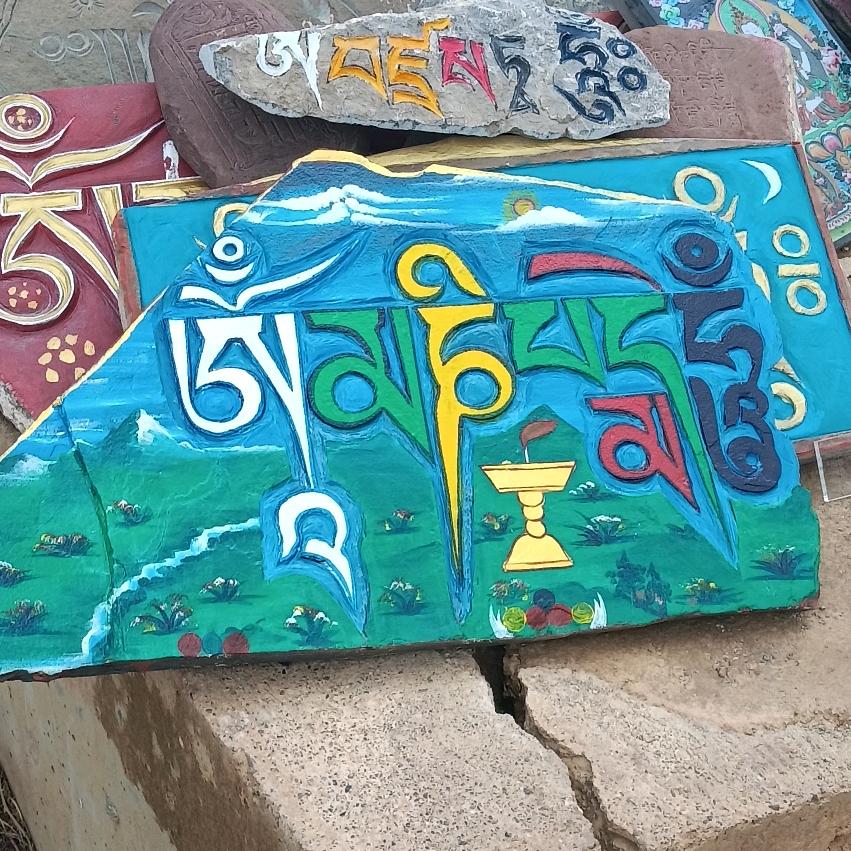 疯狂一族