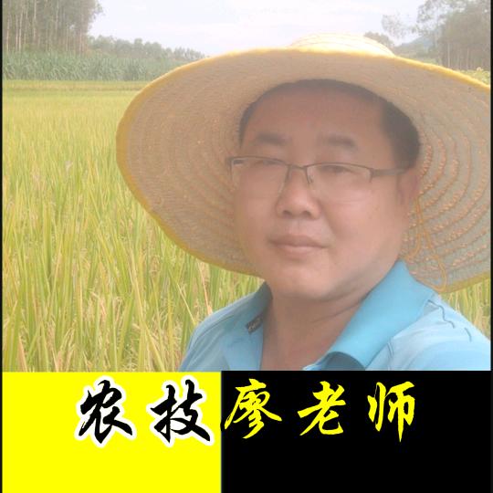 廖望农业风云