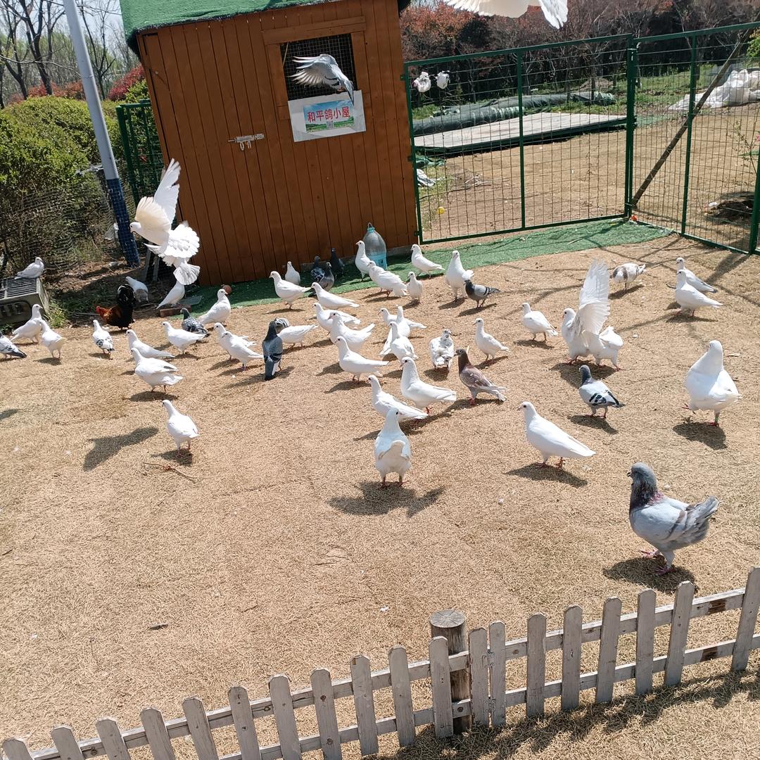 我在农村挺好