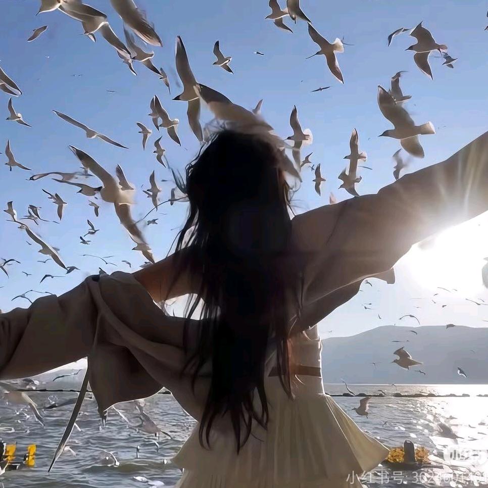 河北北方学院小清学姐