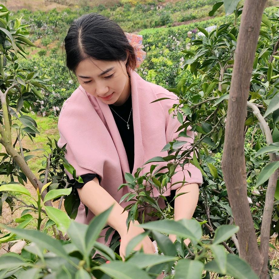 眉山🍊qinqin好橘分享