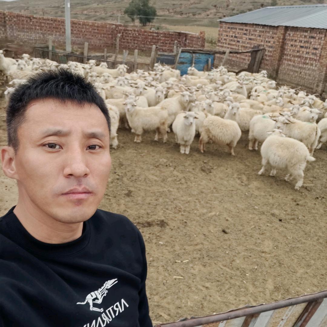 蒙缘情牧源食品在内蒙