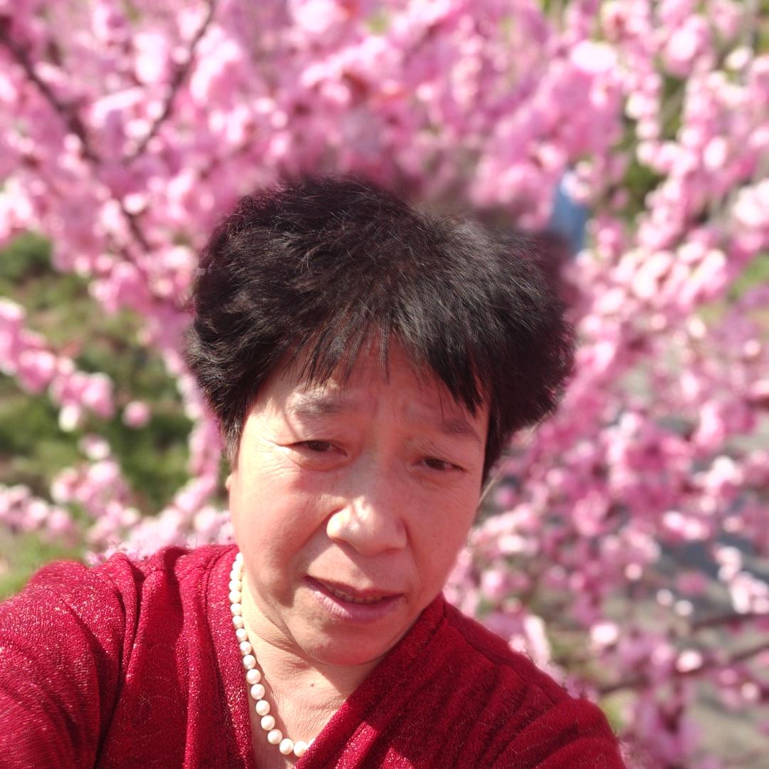 温柔她乡批发元宝金条各种烧纸/中台山