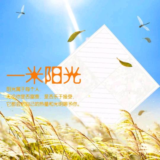 一米☀️阳光