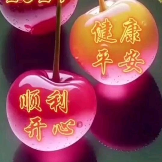 玫瑰🌹