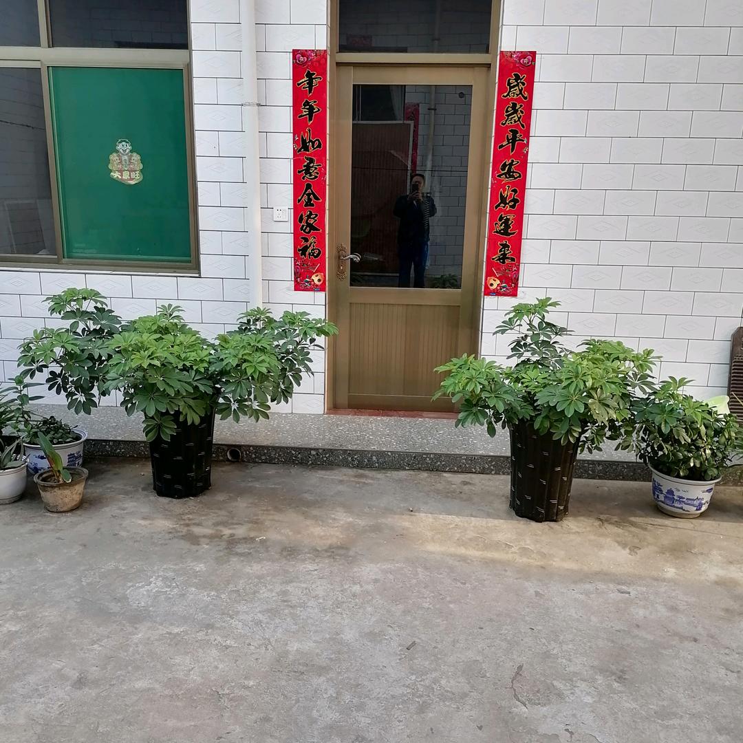 冷漠