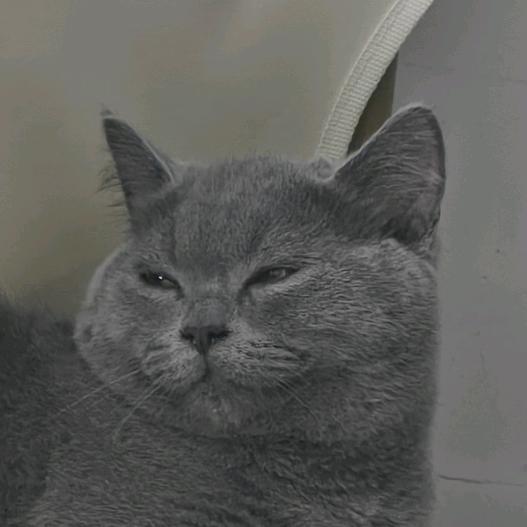 。