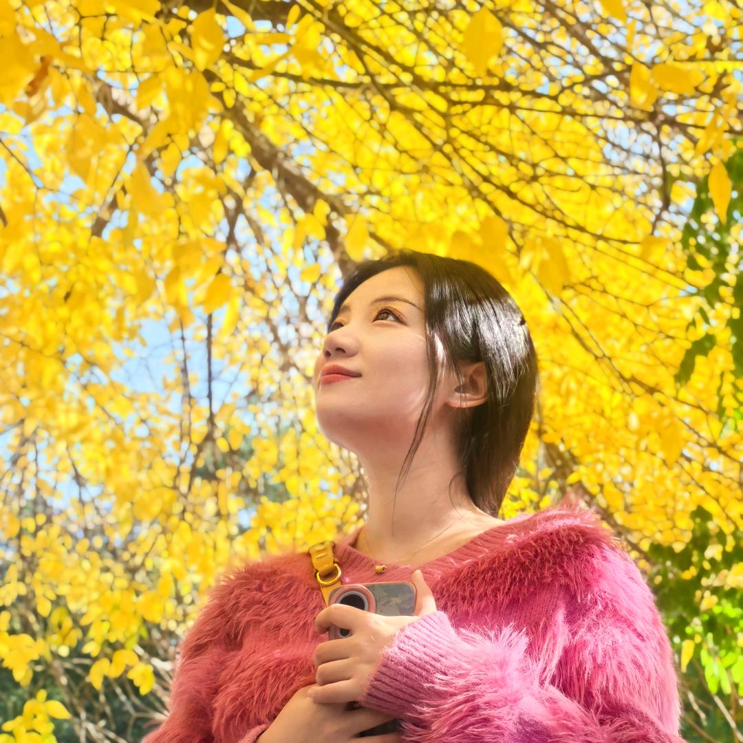 绮月摇光✨🌕✨