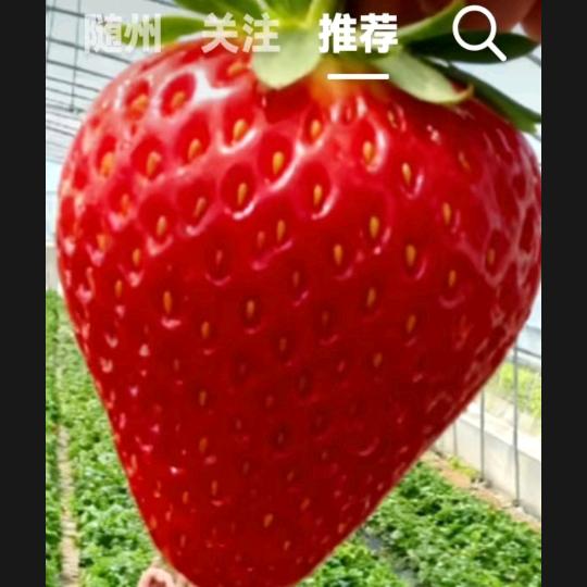 人生如此