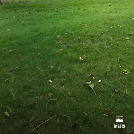 用户1210488158678蓝天白云