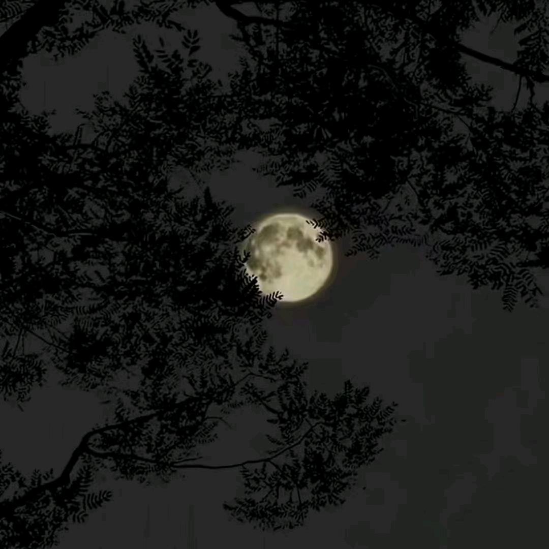 小凯