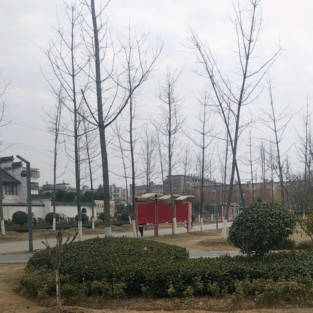 万巴赫