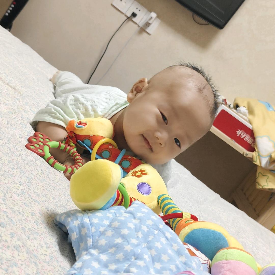 西红柿炒番茄🍅