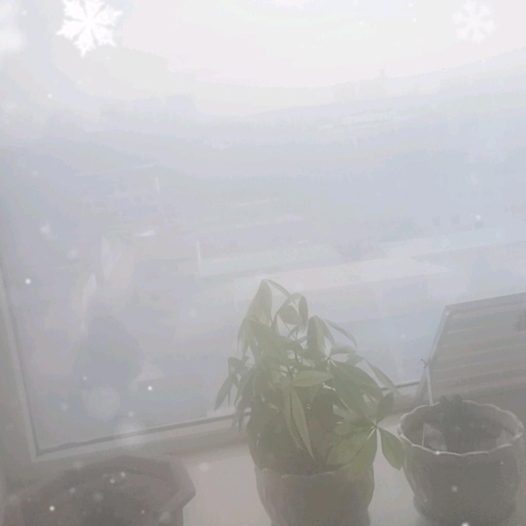 春天的心