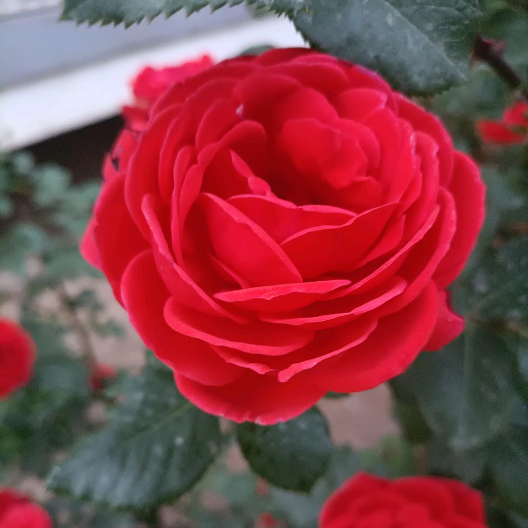 珍惜❤️