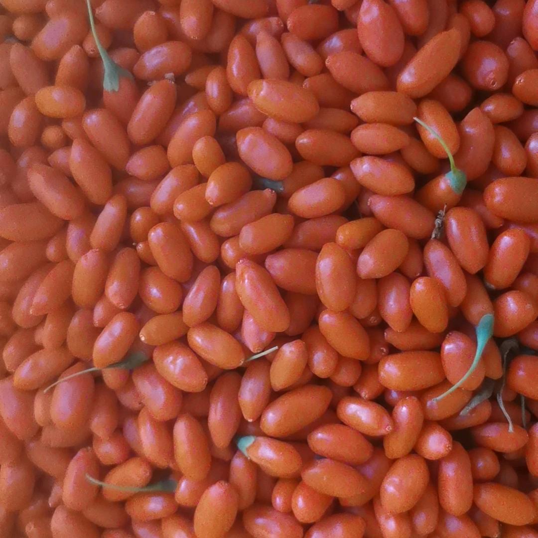 宁夏枸杞自产自销