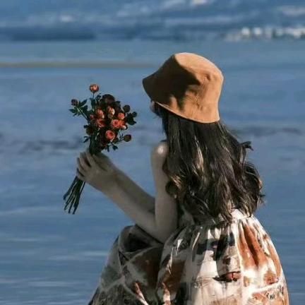 昆明拾光清韵花卉