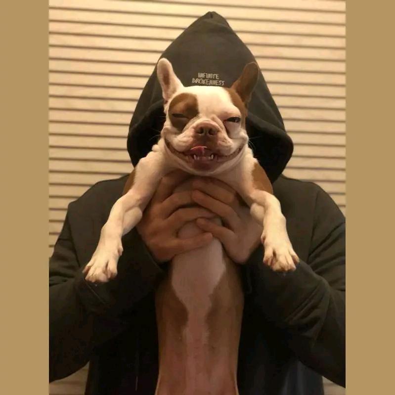 泪水打湿路亚钳