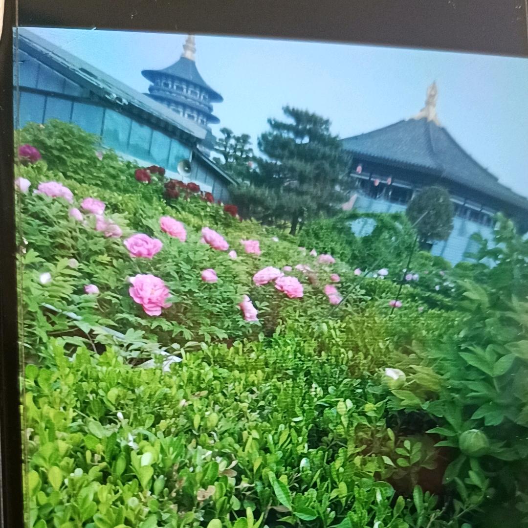 用户1078006317937吉祥如意