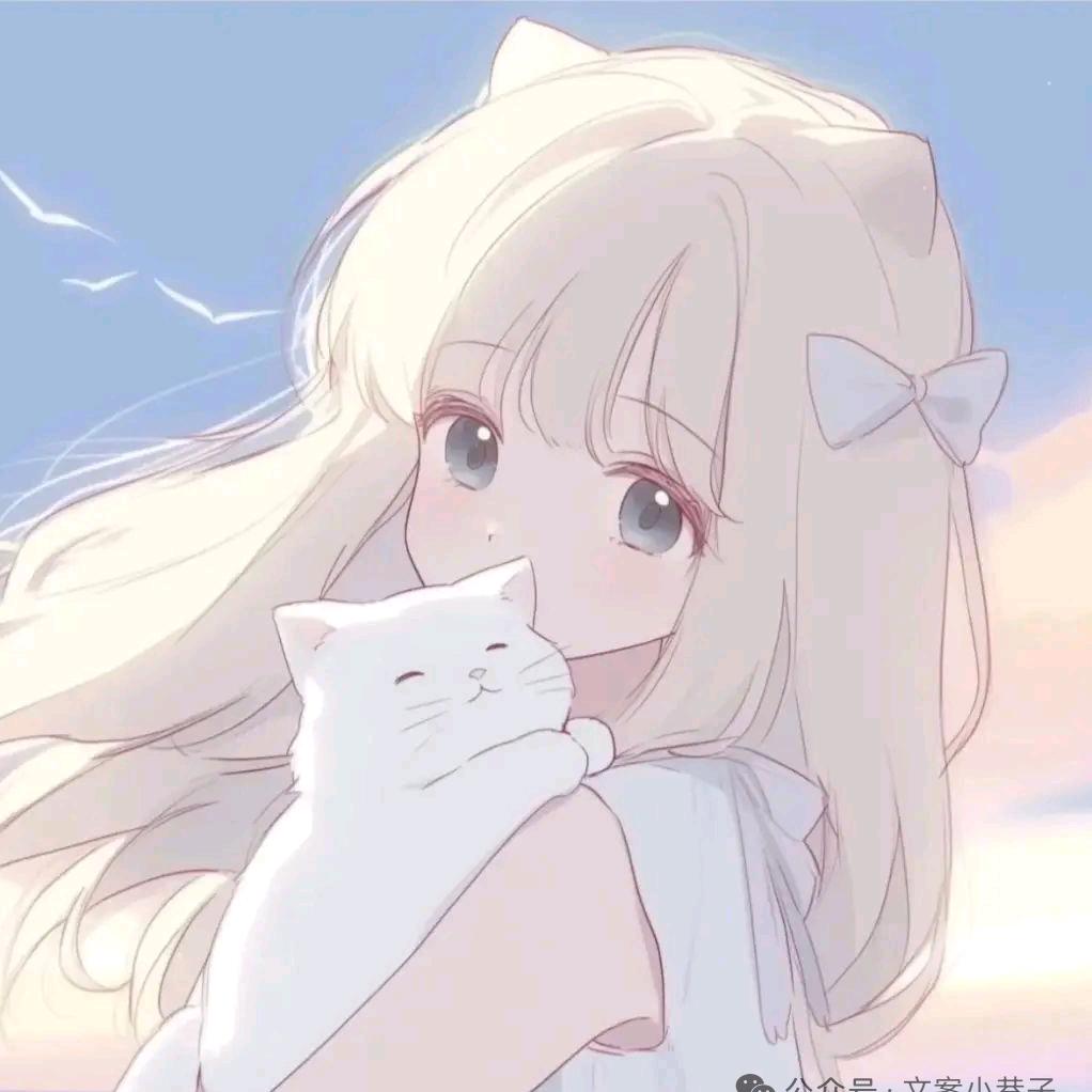 肉丸