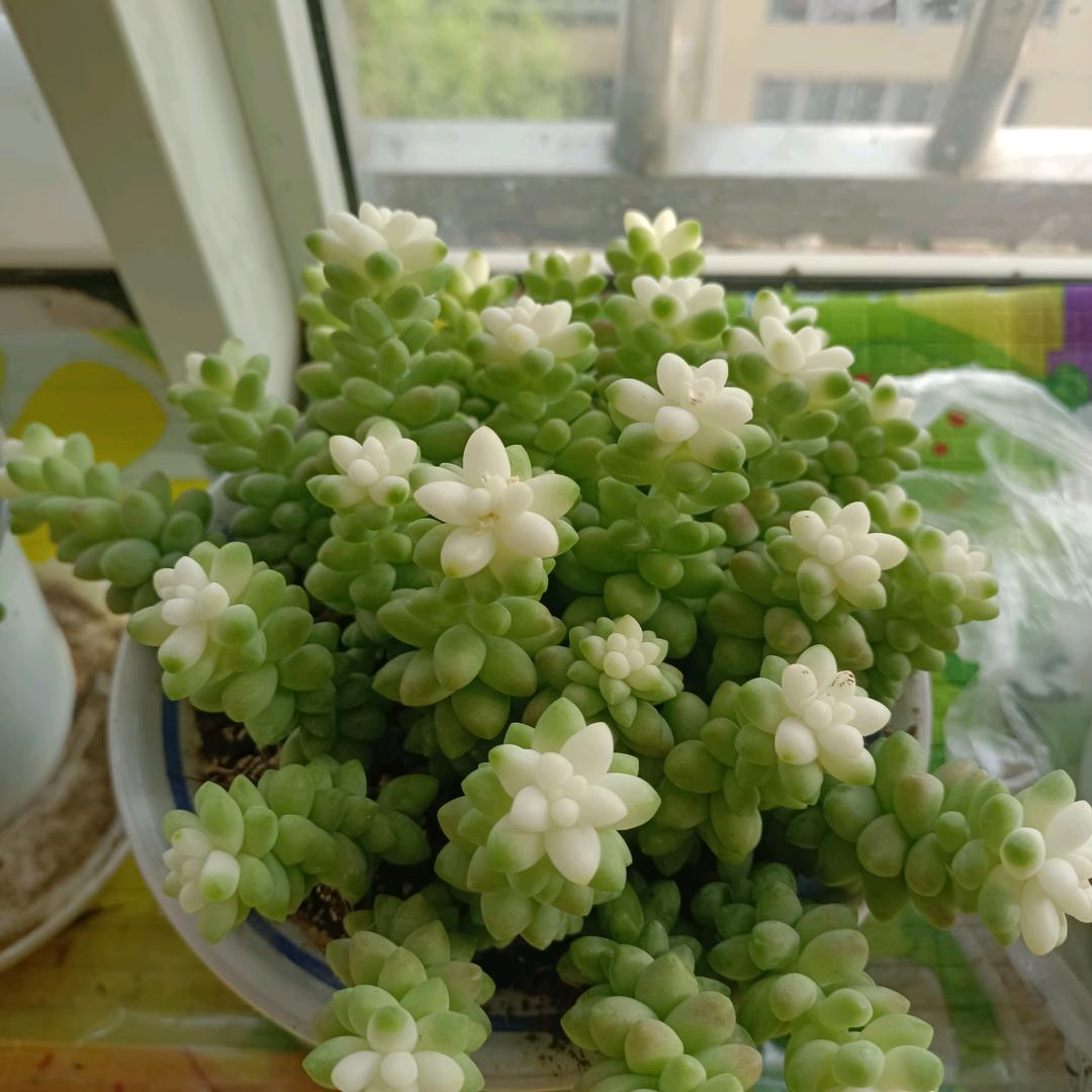 记得有我，