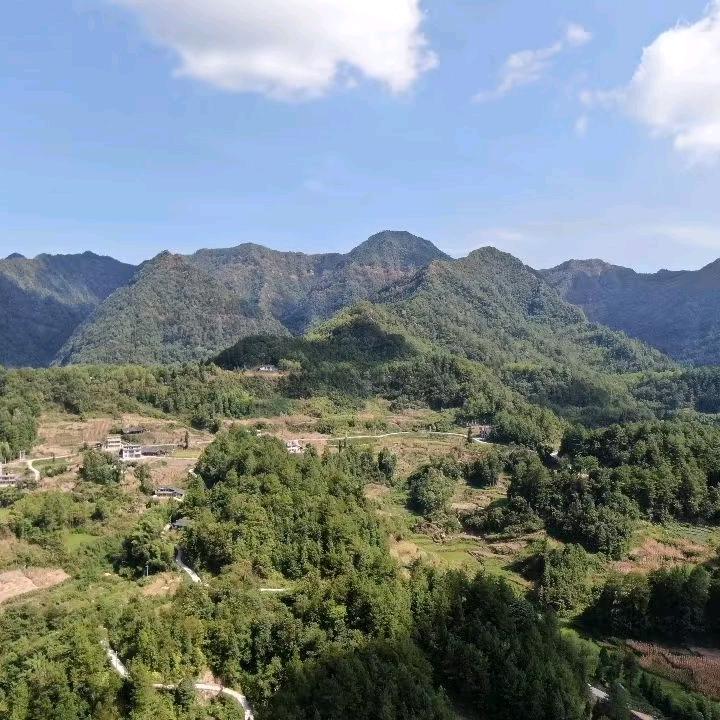 玄妙之音