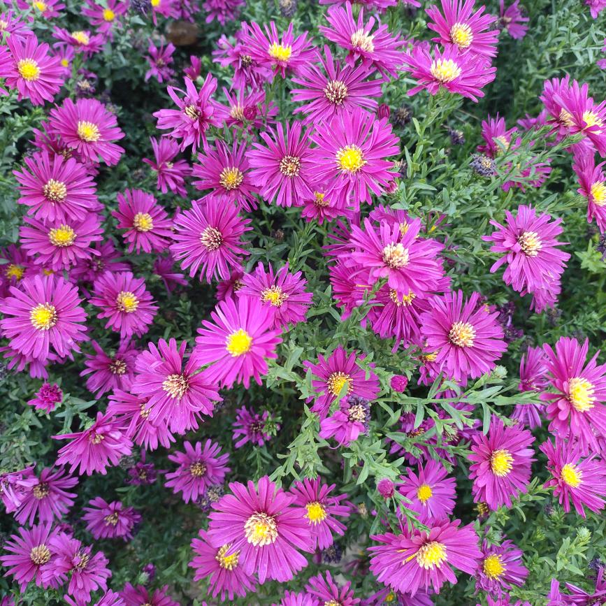 阳光明媚🌻🌻