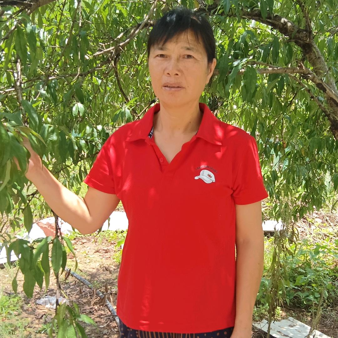 郭奶奶：每晚𡿨8:20》