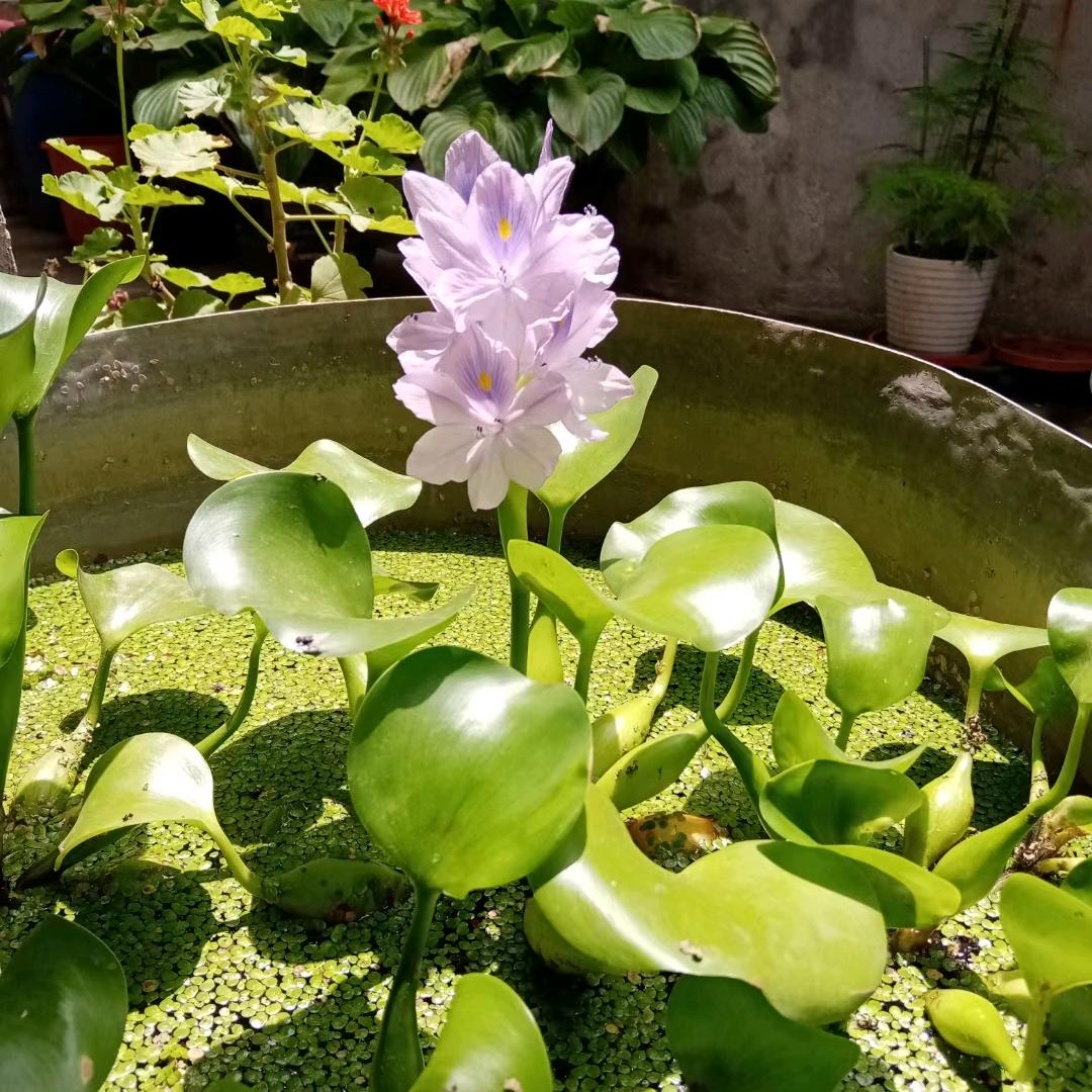 云水静心