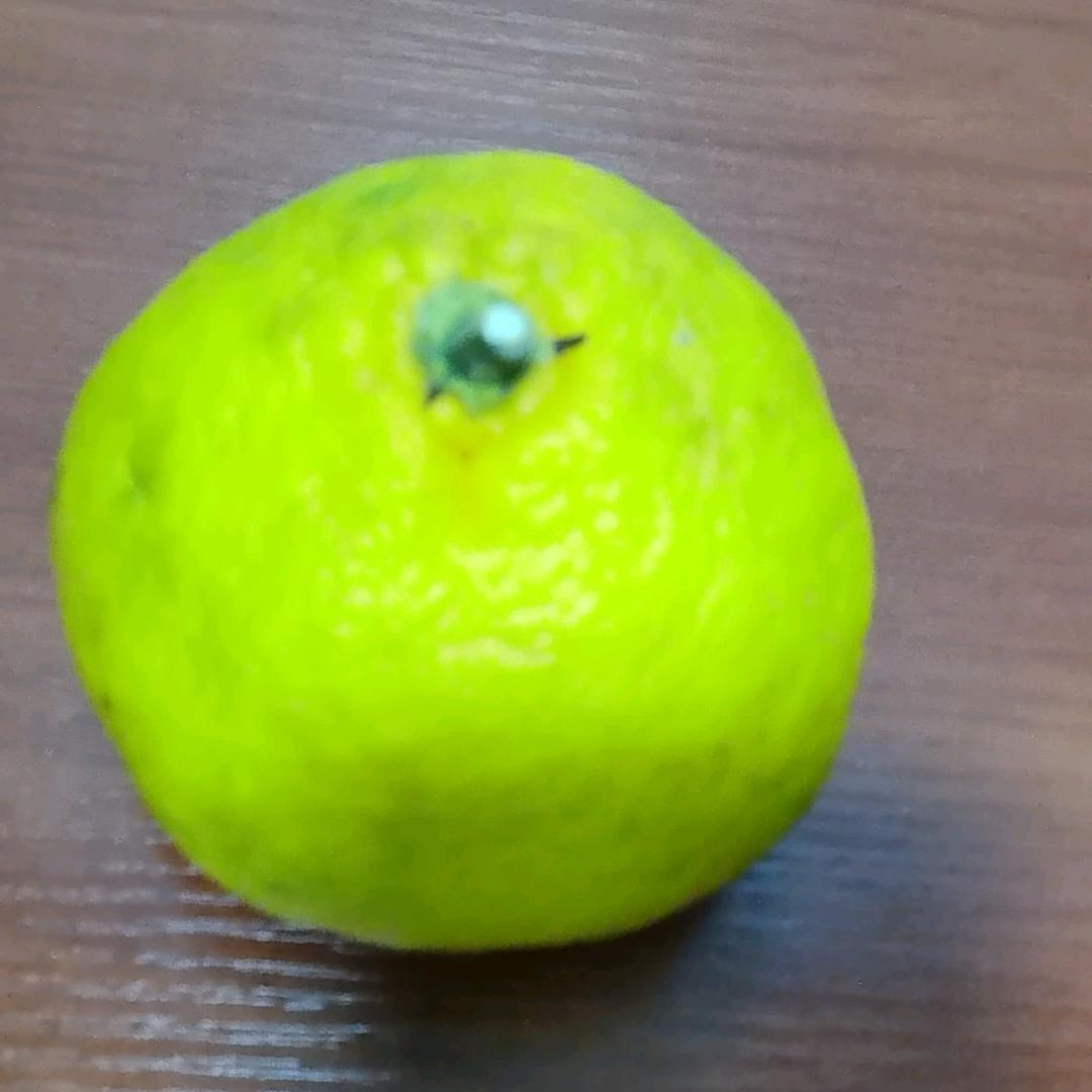逐梦未来