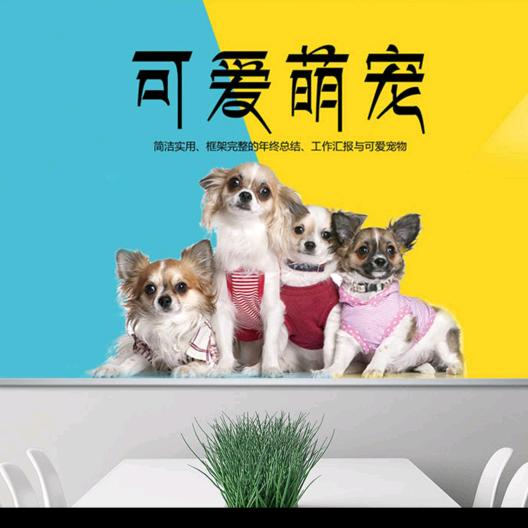我家养的98条狗🐶🐶🐶