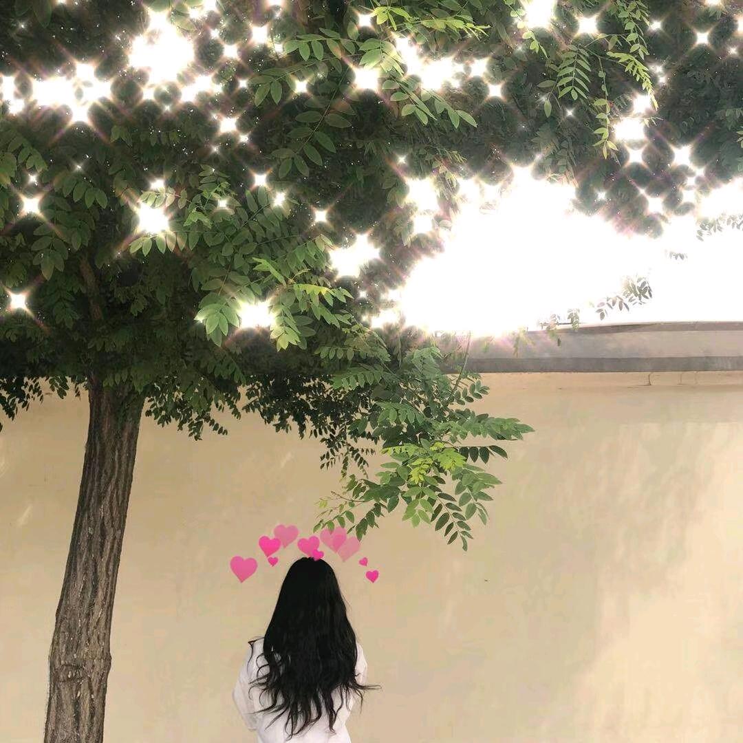 素手挽青簪